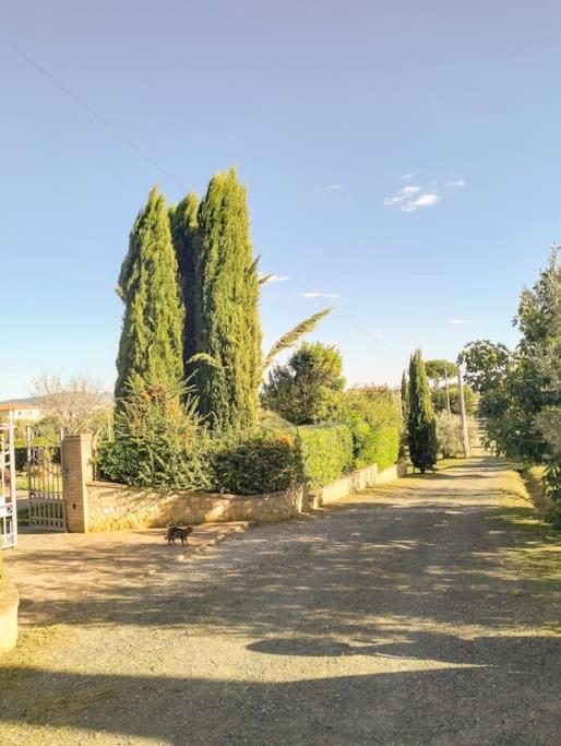 Villetta Rio, Large Private Garden Cecina (Livorno) Esterno foto